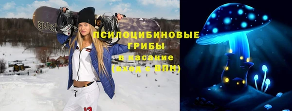 spice Алзамай