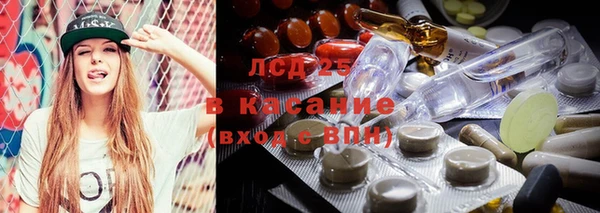spice Алзамай
