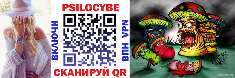 Псилоцибиновые грибы Cubensis  Кириши 